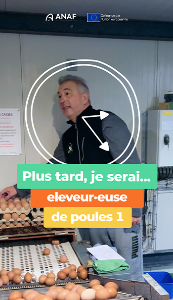 Image article Plus tard je serai éleveur·euse de poules 1
