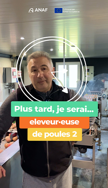 Image article Plus tard je serai éleveur·euse de poules 2